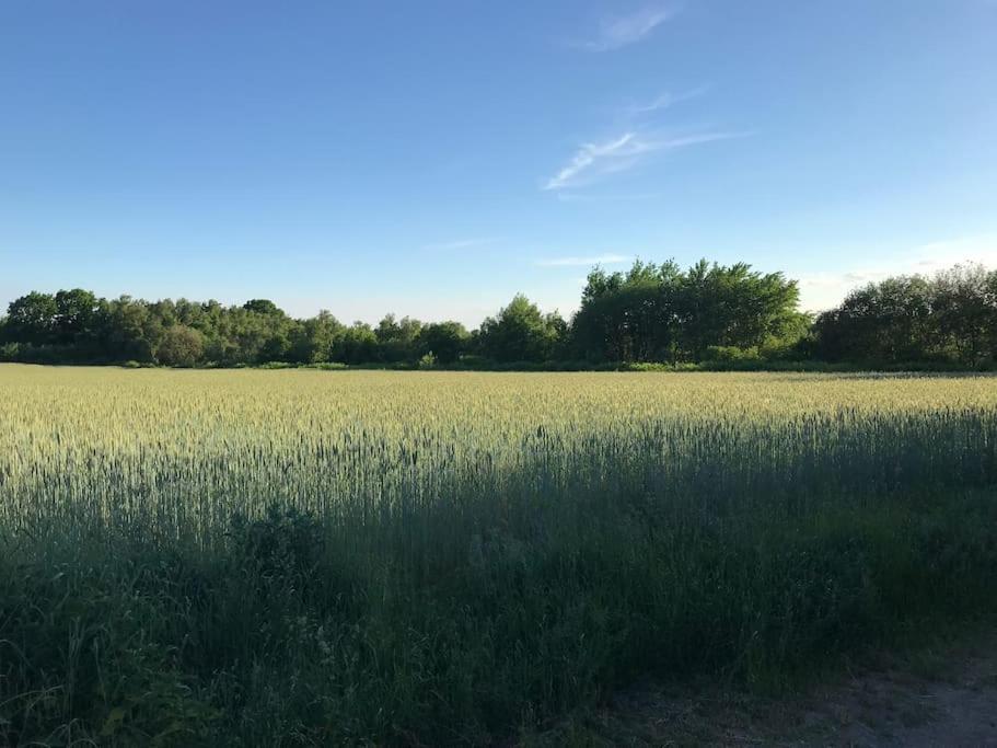 4 Mit 6 Betten Nahe Hamburg Glinde (Schleswig-Holstein)